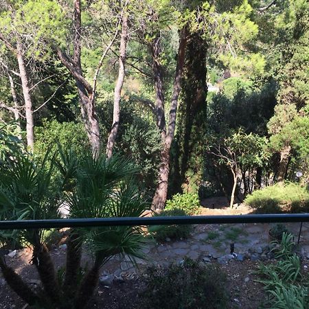 Casa Di Charme, Rio Nell'Elba Apartman Kültér fotó